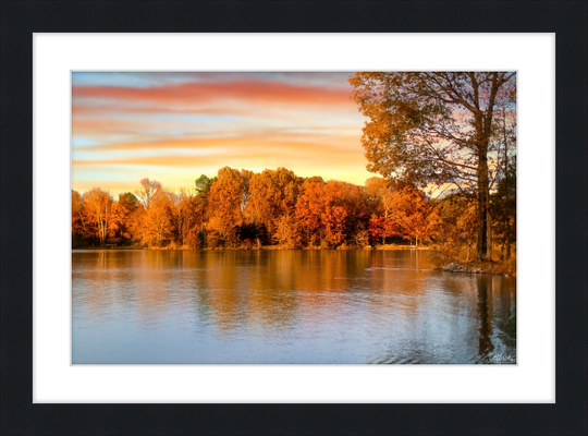 Fall has Arrived Frame