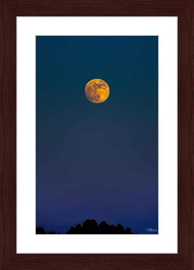 Yellow Moon Frame