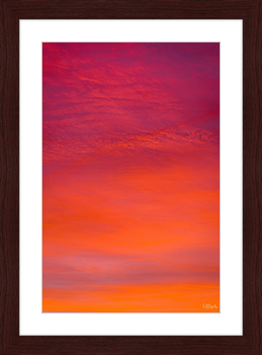 Purple Orange Frame