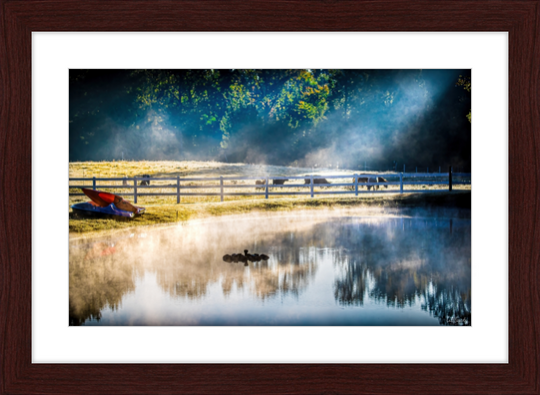 Morning Pond Frame