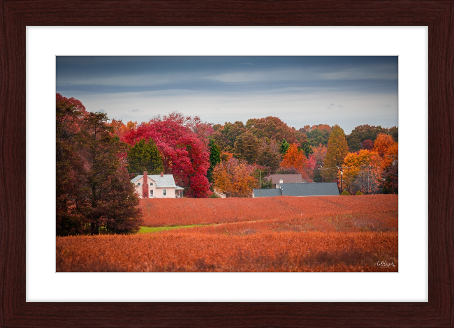 Virgina Fall Day Frame