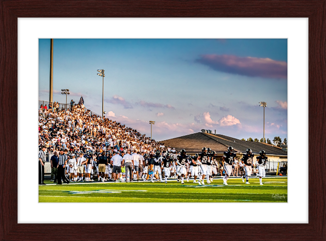Tigerland Frame