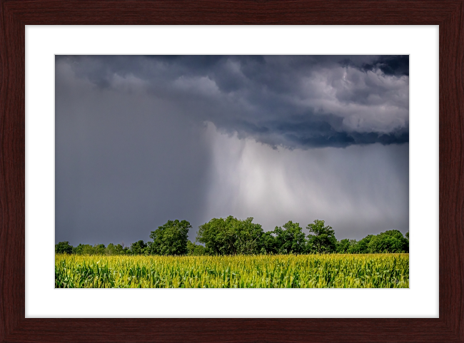 Ouachita Showers Frame