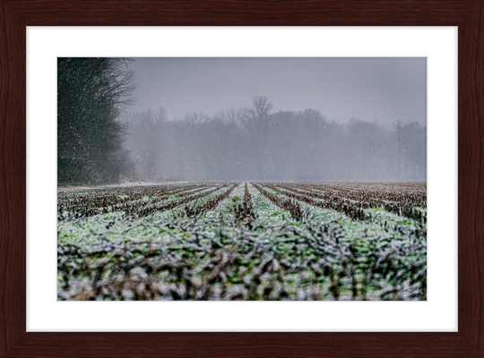 Frozen Farm Frame