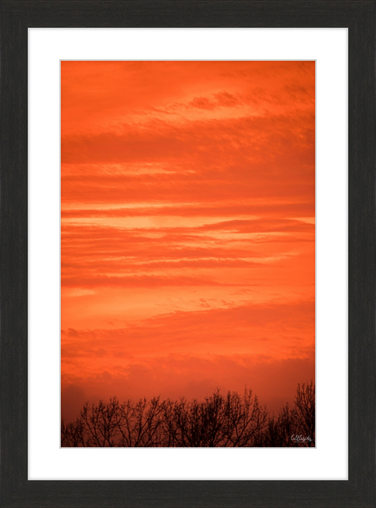 Orange Eads Frame