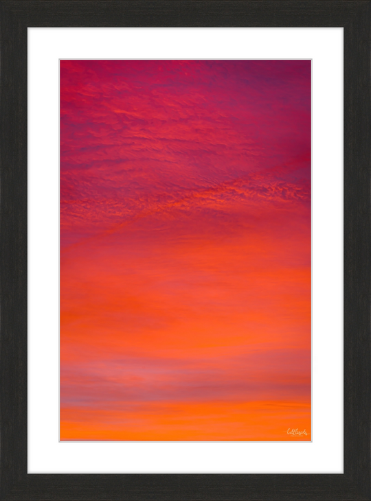 Purple Orange Frame