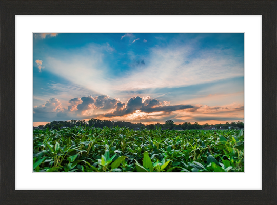 Airline Sunrise Frame