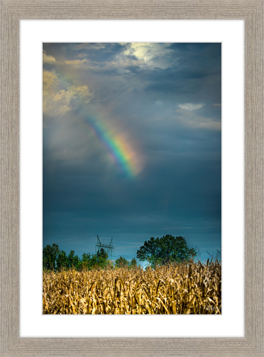 Rainbow Corn Frame