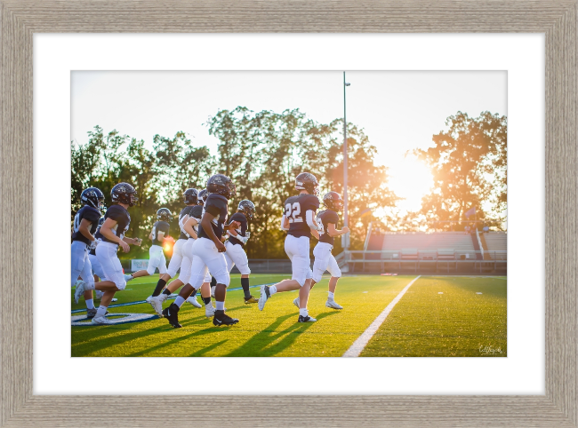 Leave it on the Field Frame