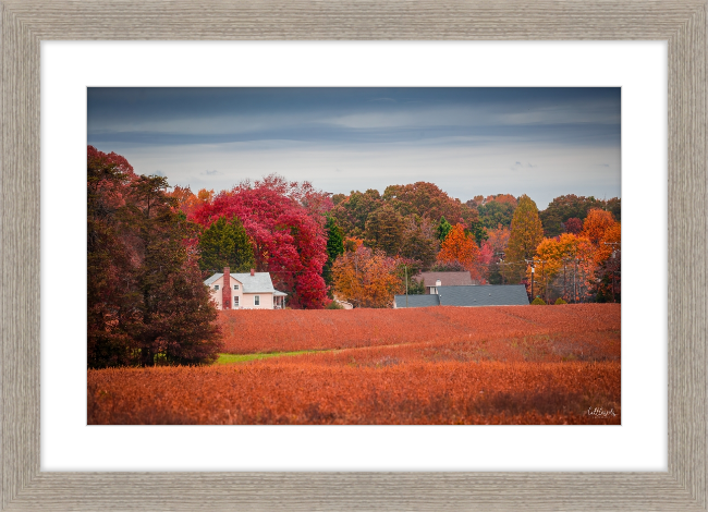 Virgina Fall Day Frame