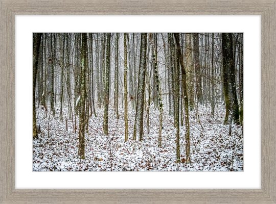 Lost in Snow Frame