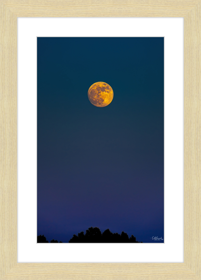 Yellow Moon Frame