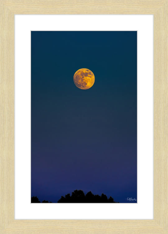 Yellow Moon Frame