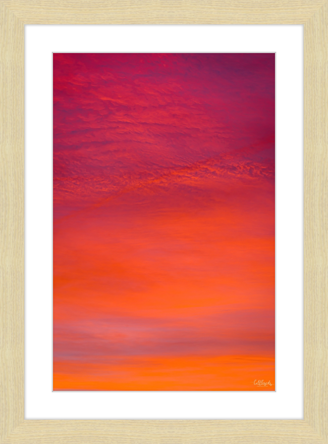 Purple Orange Frame