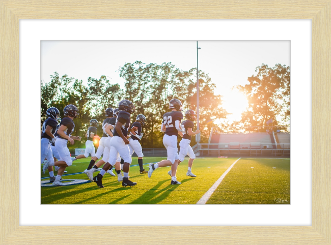 Leave it on the Field Frame