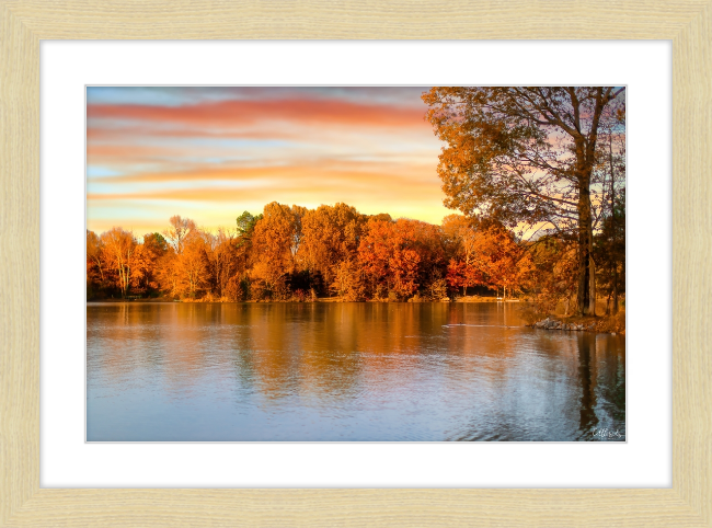 Fall has Arrived Frame