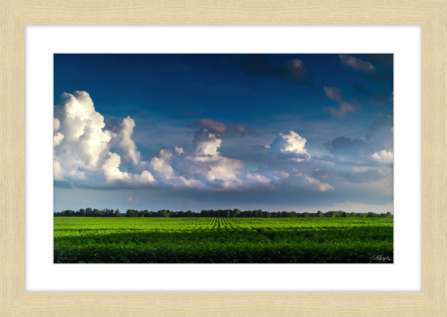 Blue Morning Frame