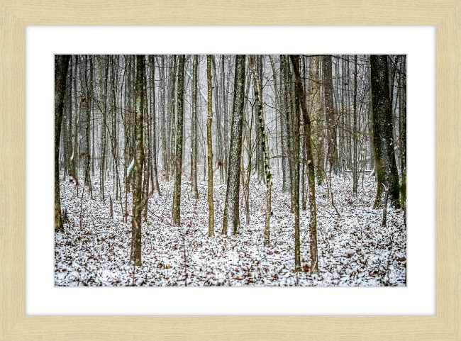 Lost in Snow Frame
