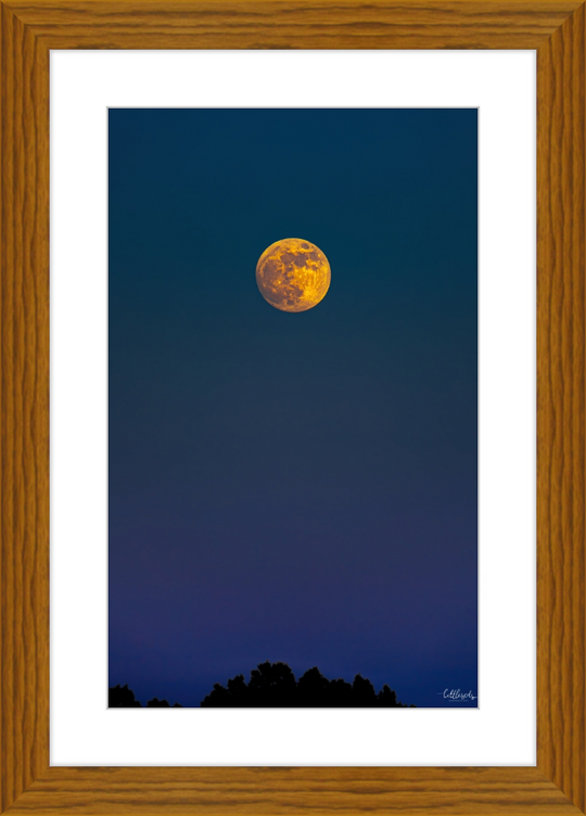 Yellow Moon Frame