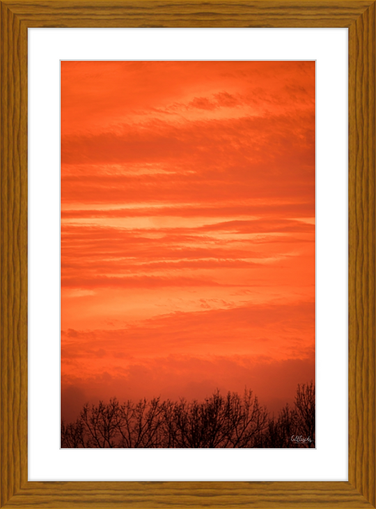 Orange Eads Frame