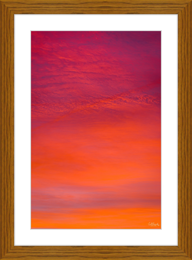 Purple Orange Frame