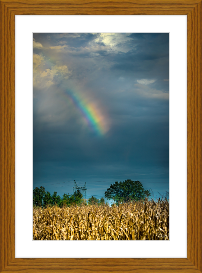 Rainbow Corn Frame