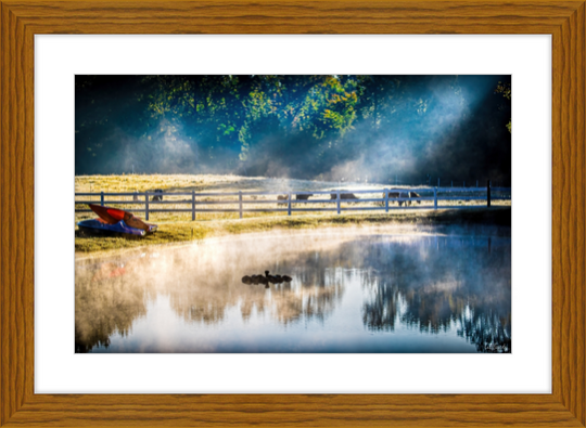 Morning Pond Frame