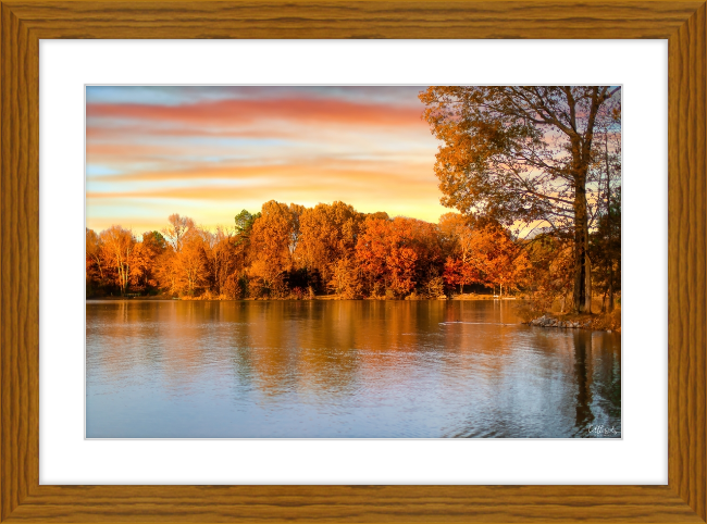 Fall has Arrived Frame