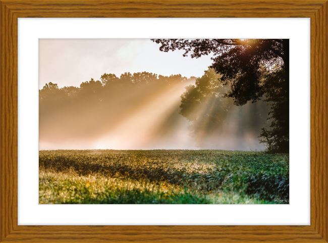 Rays of Hope Frame