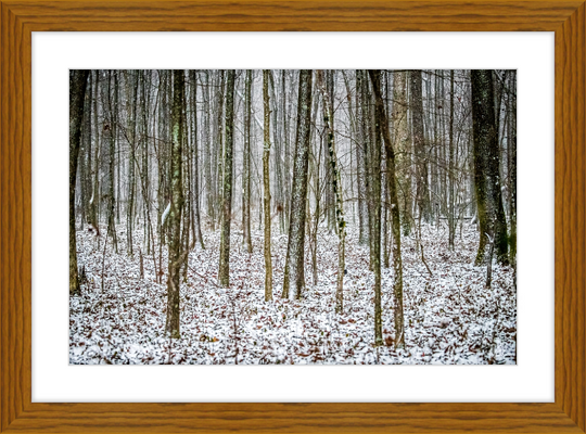 Lost in Snow Frame