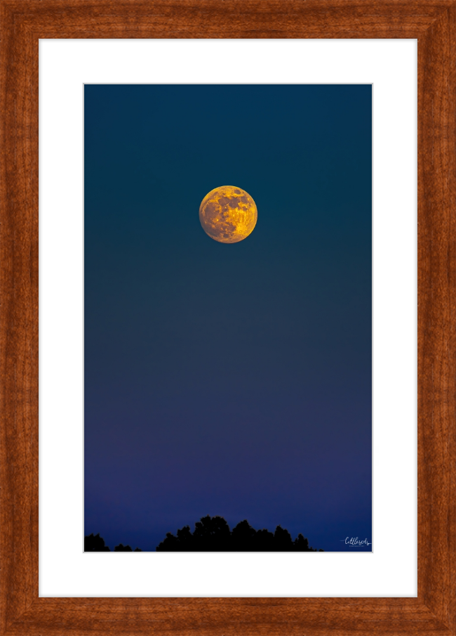 Yellow Moon Frame