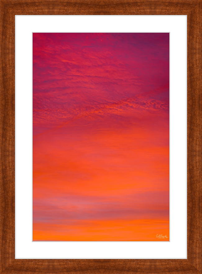 Purple Orange Frame