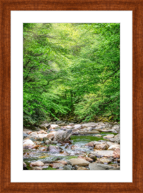 Lost in the Smokies Frame