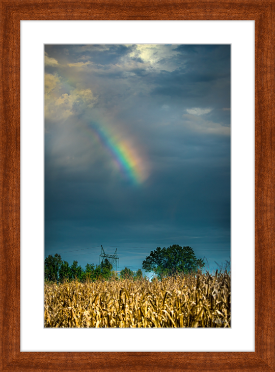 Rainbow Corn Frame