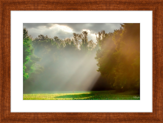 Morning Light Frame