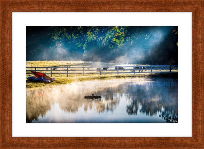 Morning Pond Frame