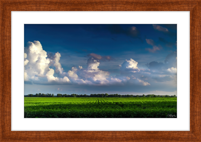 Blue Morning Frame