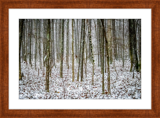 Lost in Snow Frame