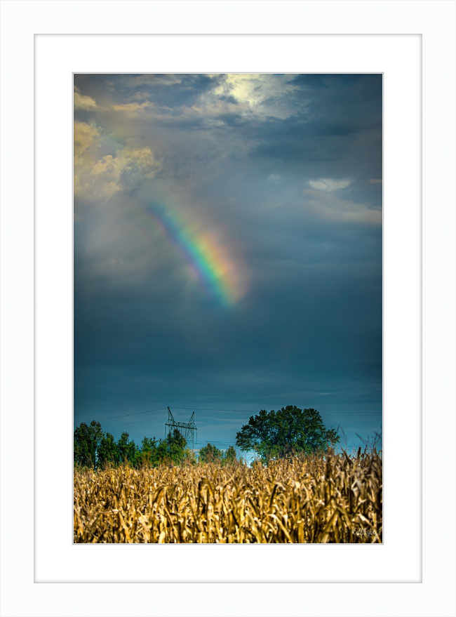 Rainbow Corn Frame