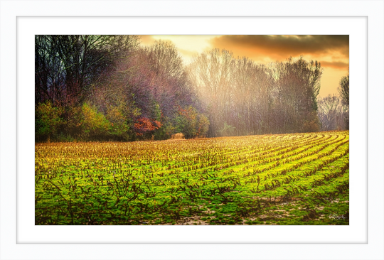 Early Fall Walk Frame