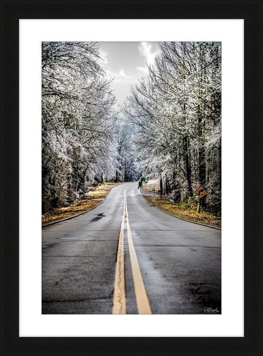 Frozen Airline Road Frame