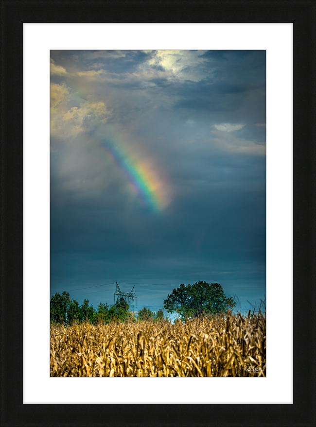 Rainbow Corn Frame