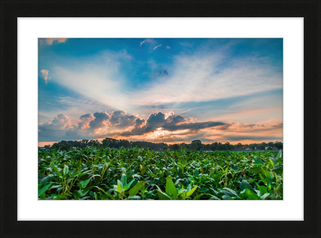 Airline Sunrise Frame