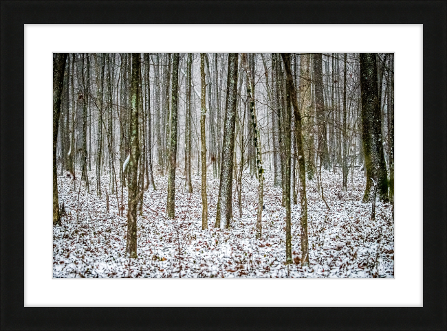 Lost in Snow Frame