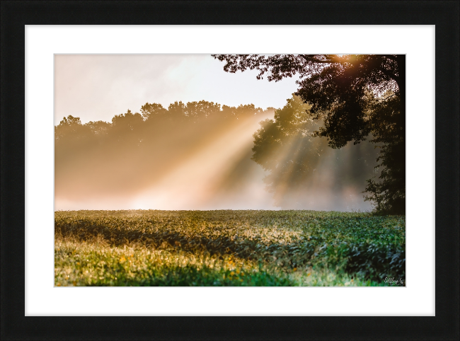 Rays of Hope Frame