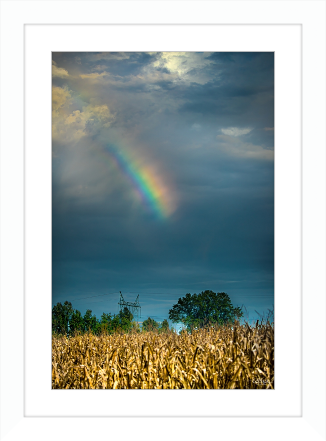 Rainbow Corn Frame