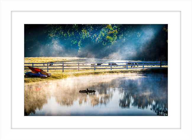 Morning Pond Frame