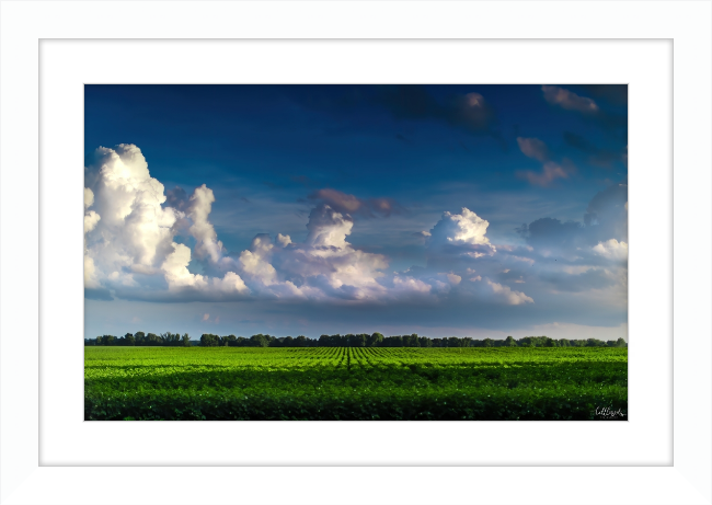 Blue Morning Frame