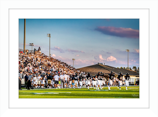 Tigerland Frame