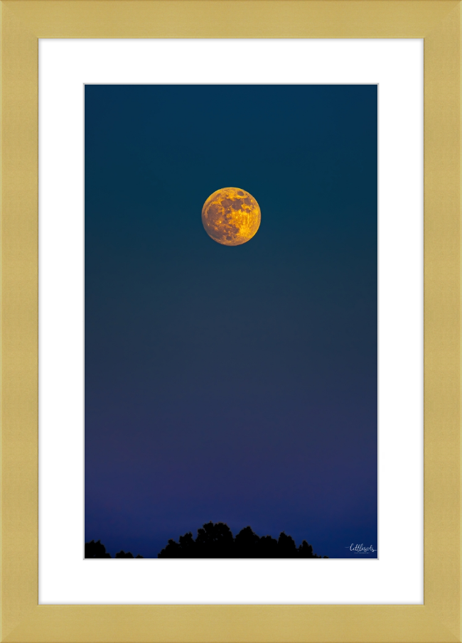 Yellow Moon Frame